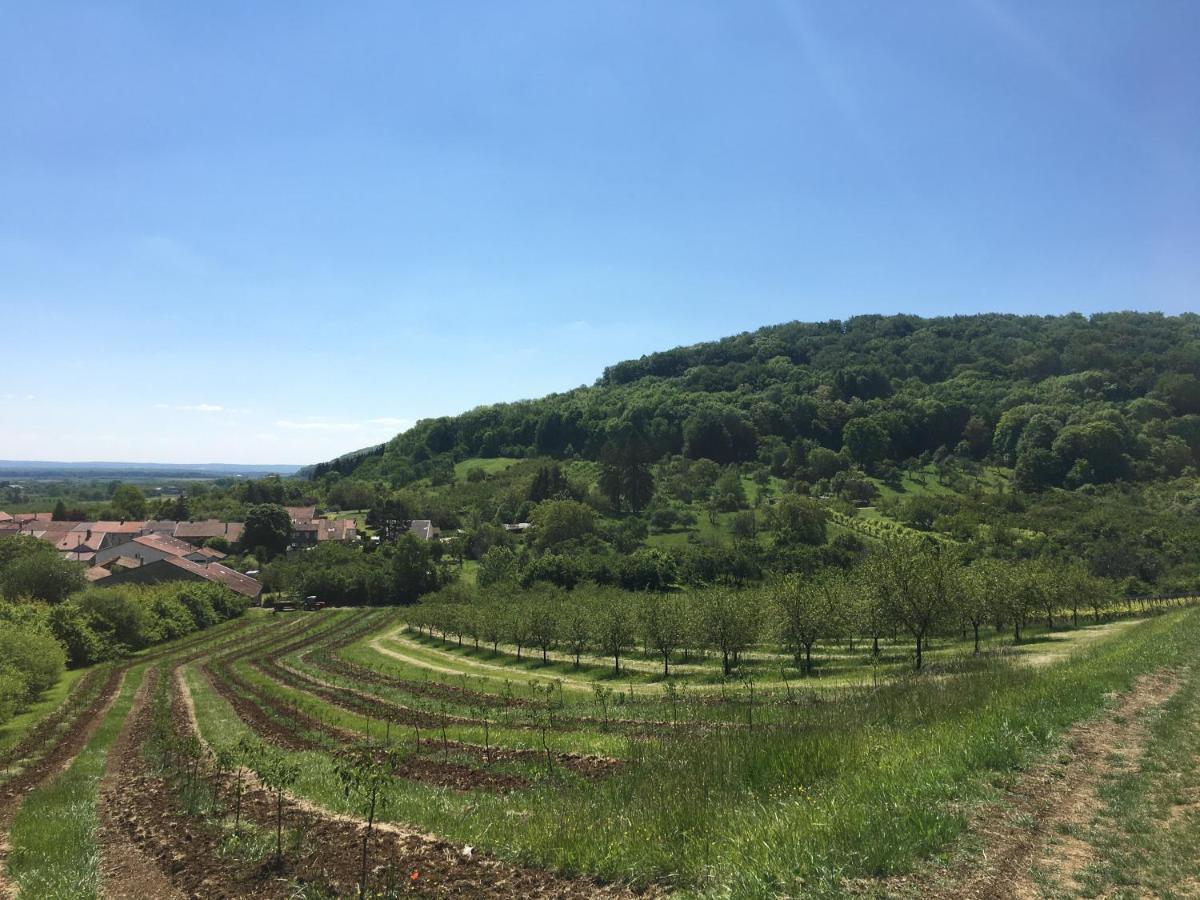Chambres D'Hotes La Bottee Vieville-sous-les-Cotes Dış mekan fotoğraf